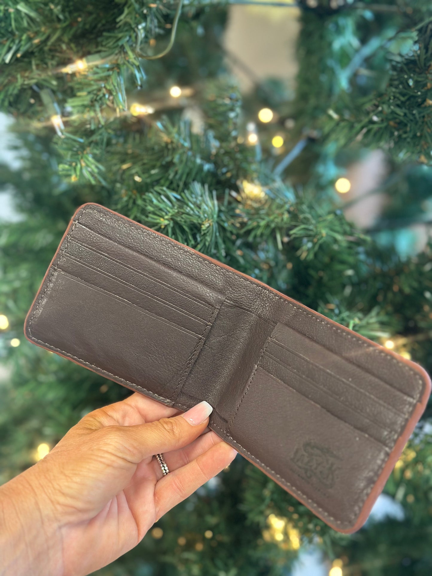 “The Big Pine” bifold