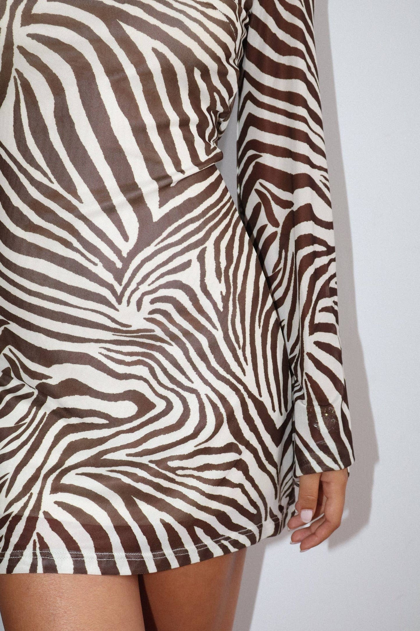 The Coco Elise Zebra Print Long Sleeve Mini Dress